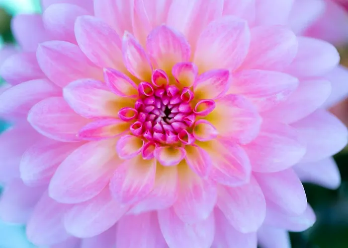 Arcobaleno Ξενοδοχείο