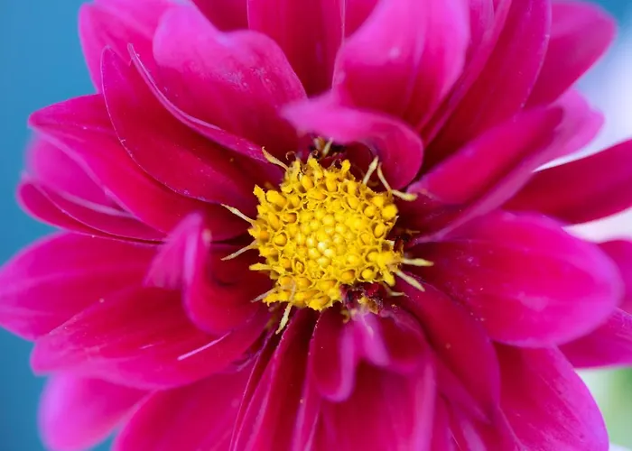 Ξενοδοχείο Arcobaleno 3*